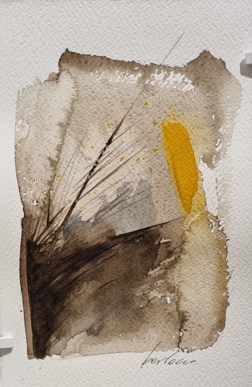 Attraverso il Colore - foto 14