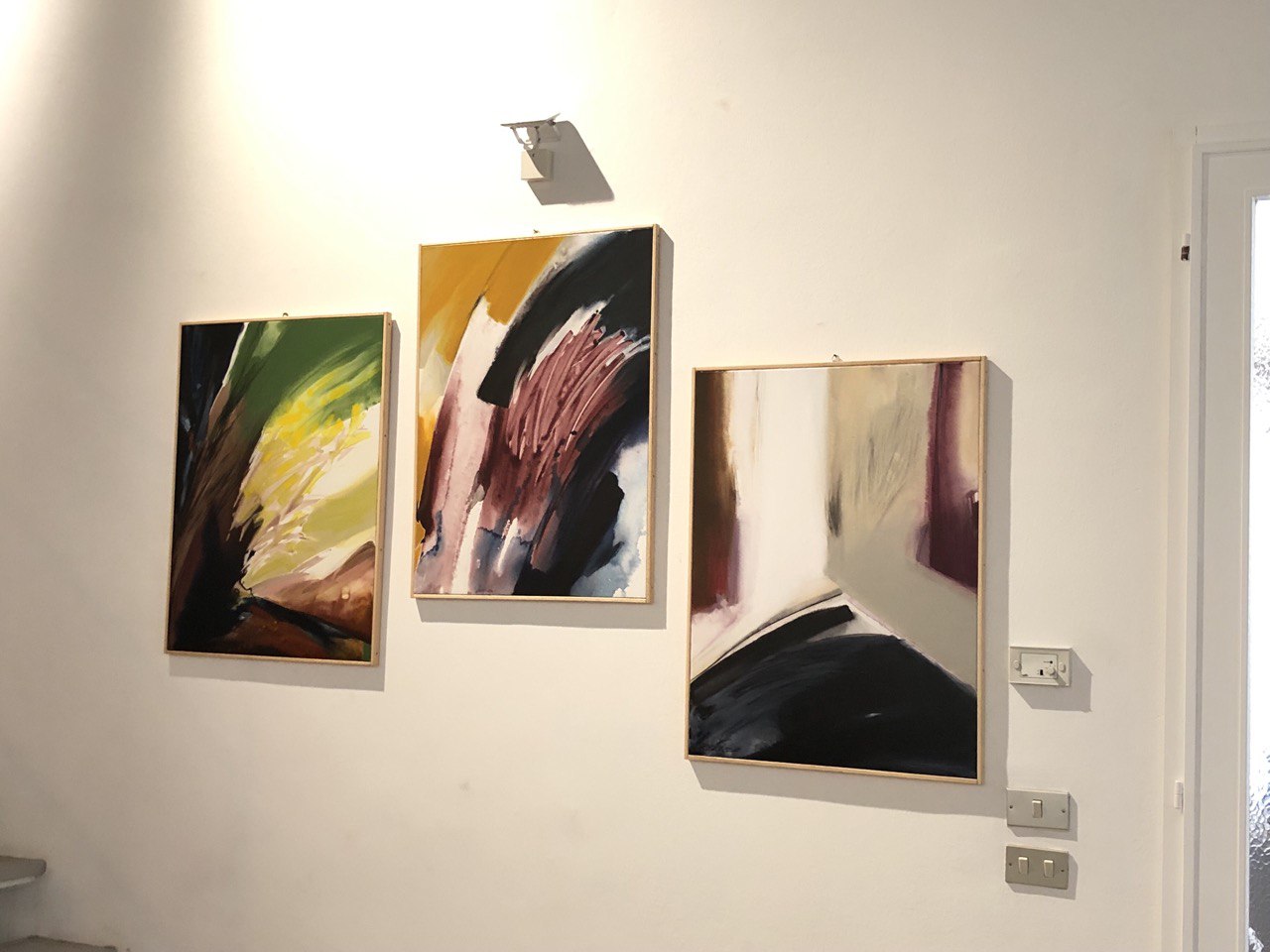 Attraverso il Colore - foto 17